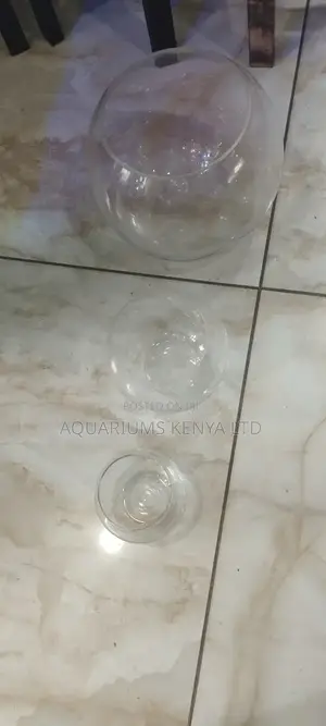 Goldfish Fish Bowl,Bowls for Fish