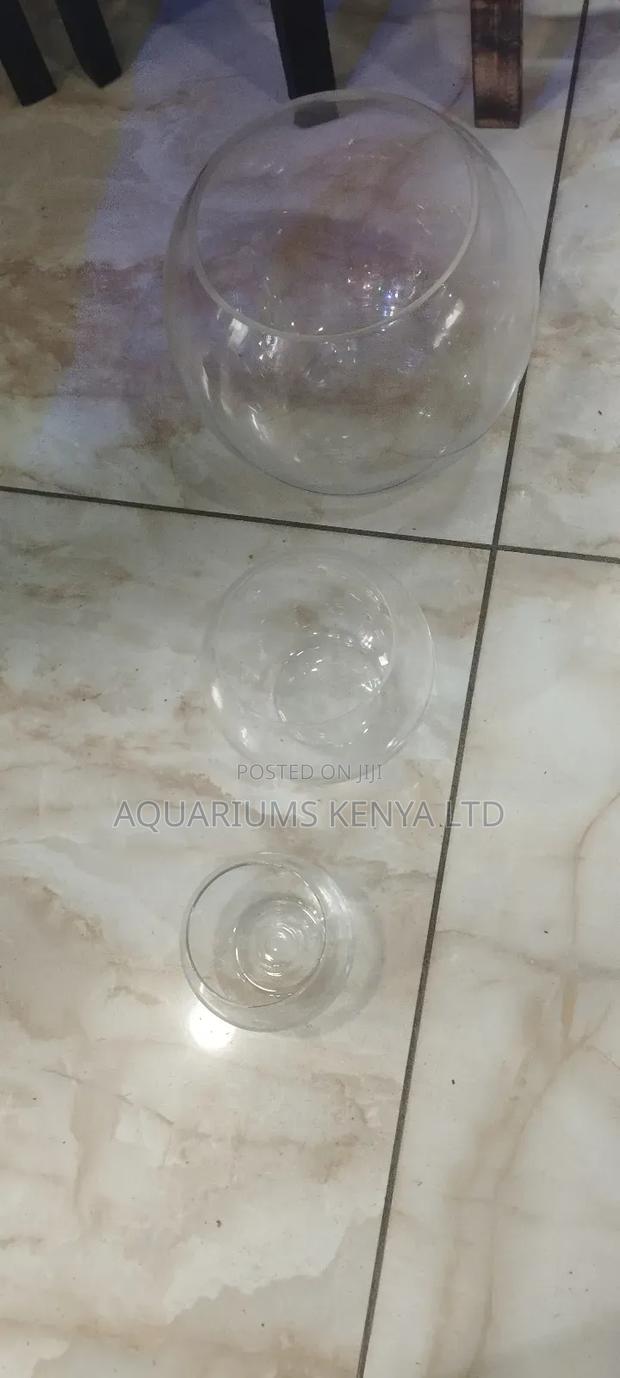 Goldfish Fish Bowl,Bowls for Fish