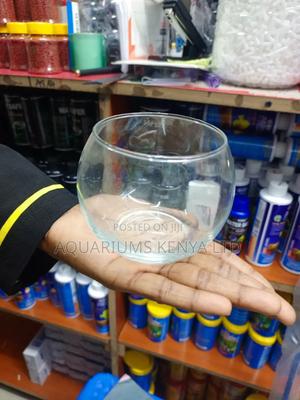 500ml Fish Bowl,Fish Bowl - thumbnail 2