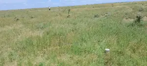 50x100 Plots - Ereri Nanyuki