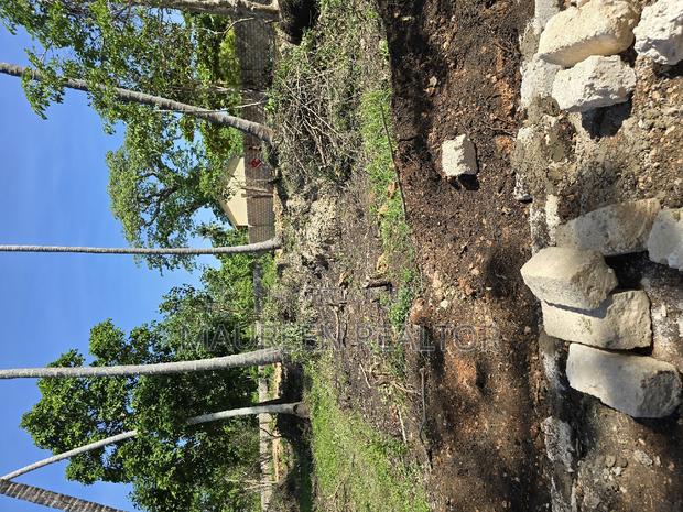 50×100 Plots -Galu Diani - thumbnail 4