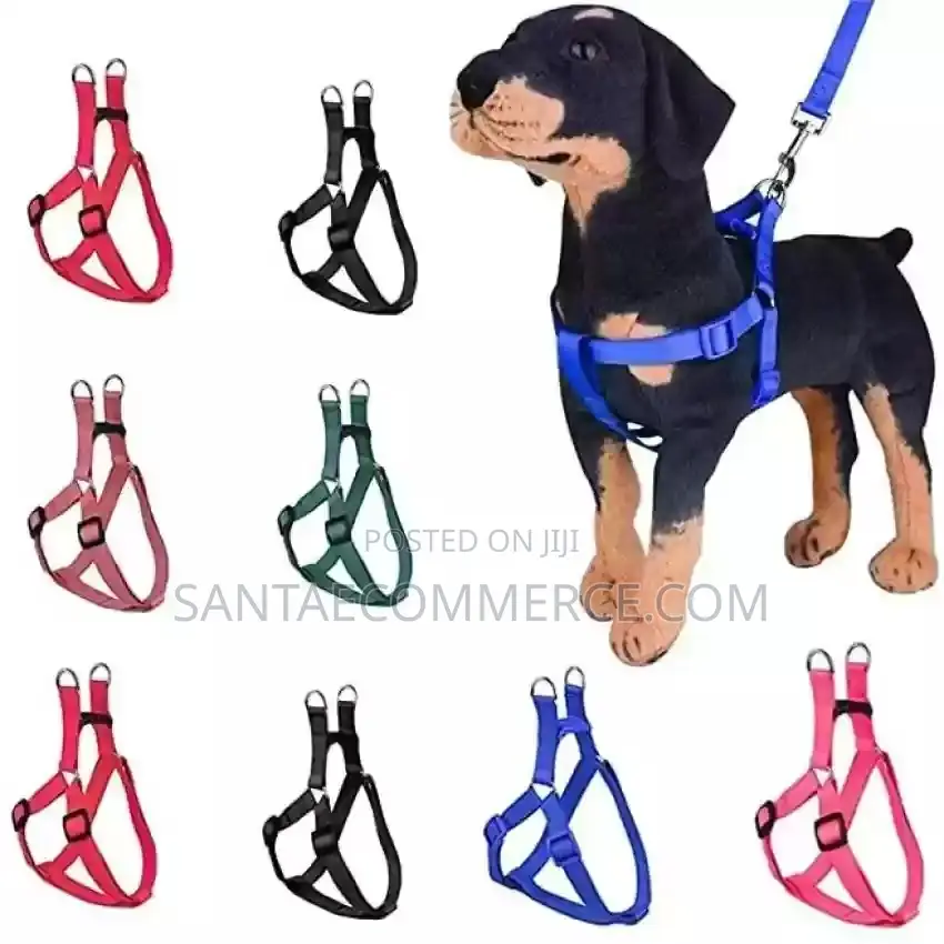Dog Harness and Walking Leash