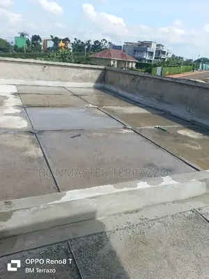 Terrazo Stripping