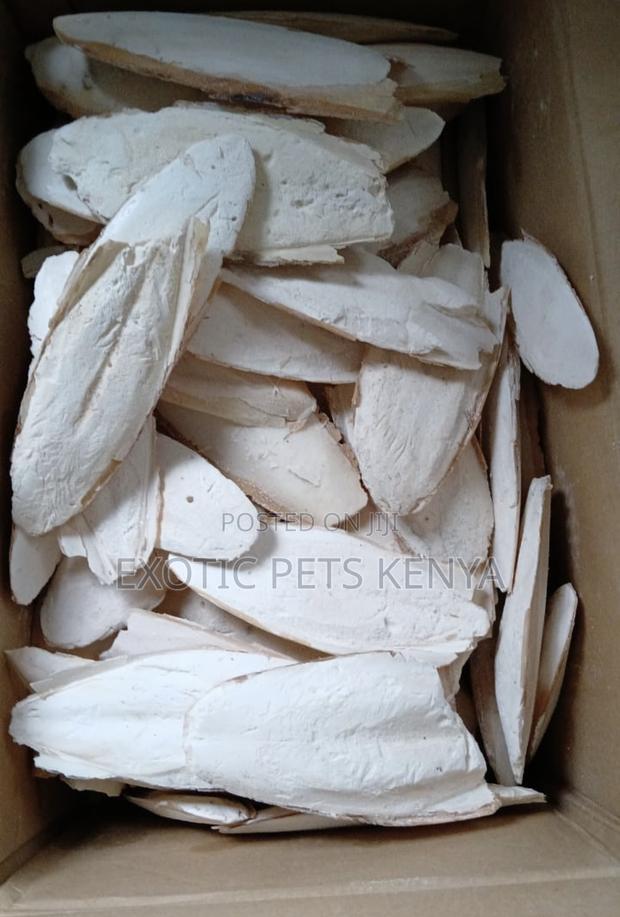 Calcium Blocks/Bones for Birds - main view