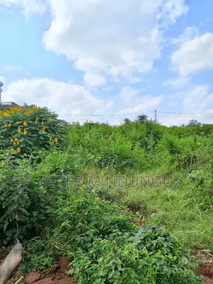 Garden Estate 1/2 Acre, Residential Plot