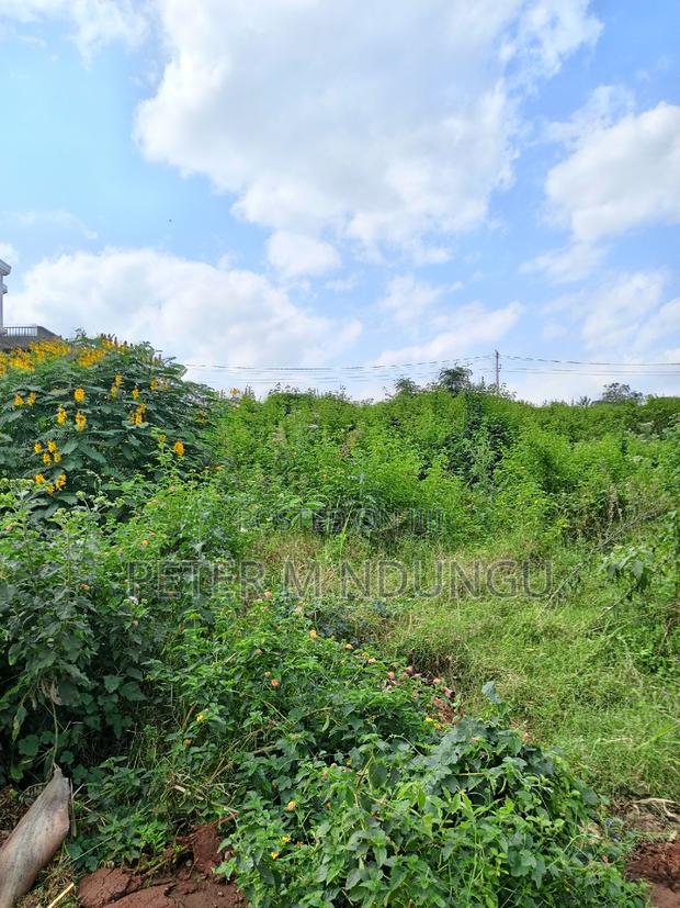 Garden Estate 1/2 Acre, Residential Plot - thumbnail 4