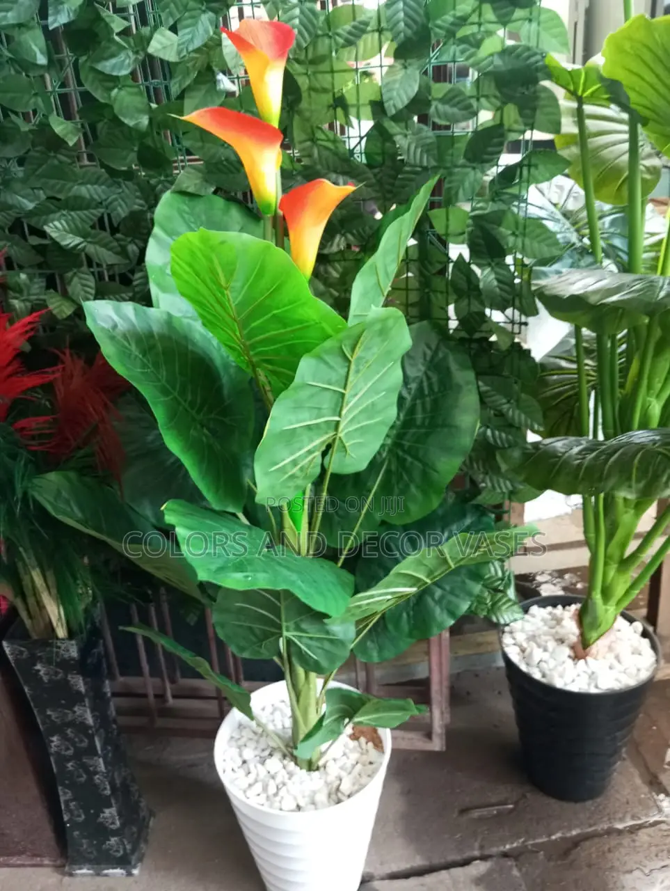 Flowered Plant Orange With Vase