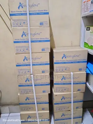 Nitrile Large Gloves