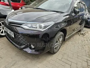 Toyota Corolla Fielder 2018 Black