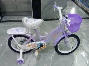 Elegant Girls Bicycle