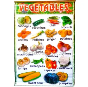 Vegetable Learning Wall Chart