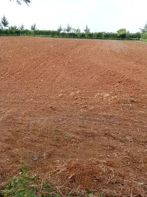 1.5 Acres Kuinet Ideal for Residential