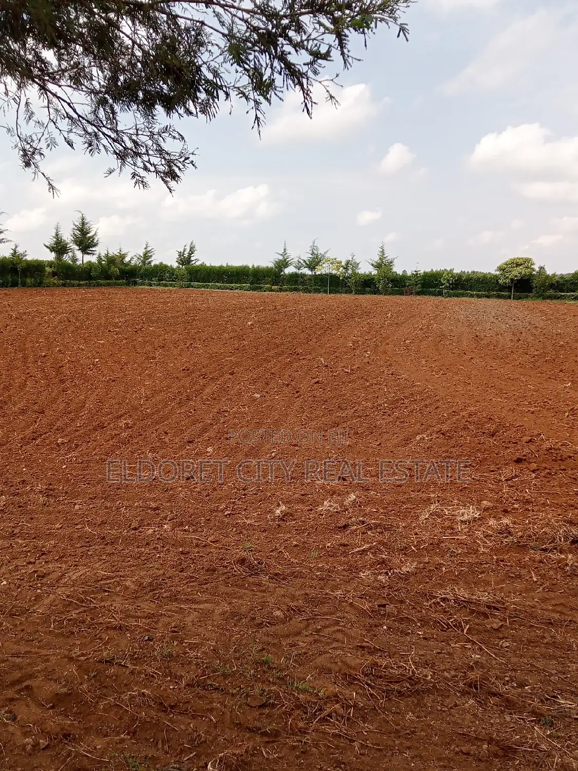 1.5 Acres Kuinet Ideal for Residential