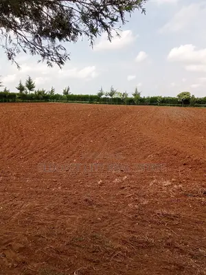 1.5 Acres Kuinet Ideal for Residential
