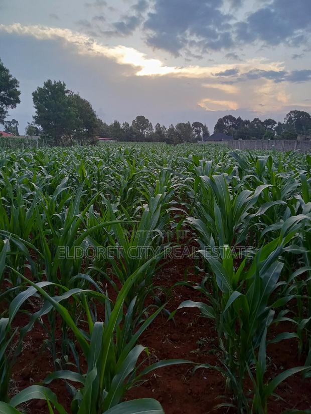 1/4 Plus 1/8 Plot Kiplombe With Title - thumbnail 3