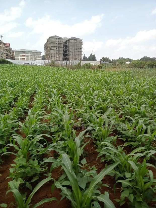 1/4 Plots National Towards Langas Ideal for Investment