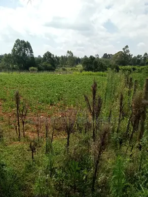 10 Acres Naiberi Touching Permanent Flowing River