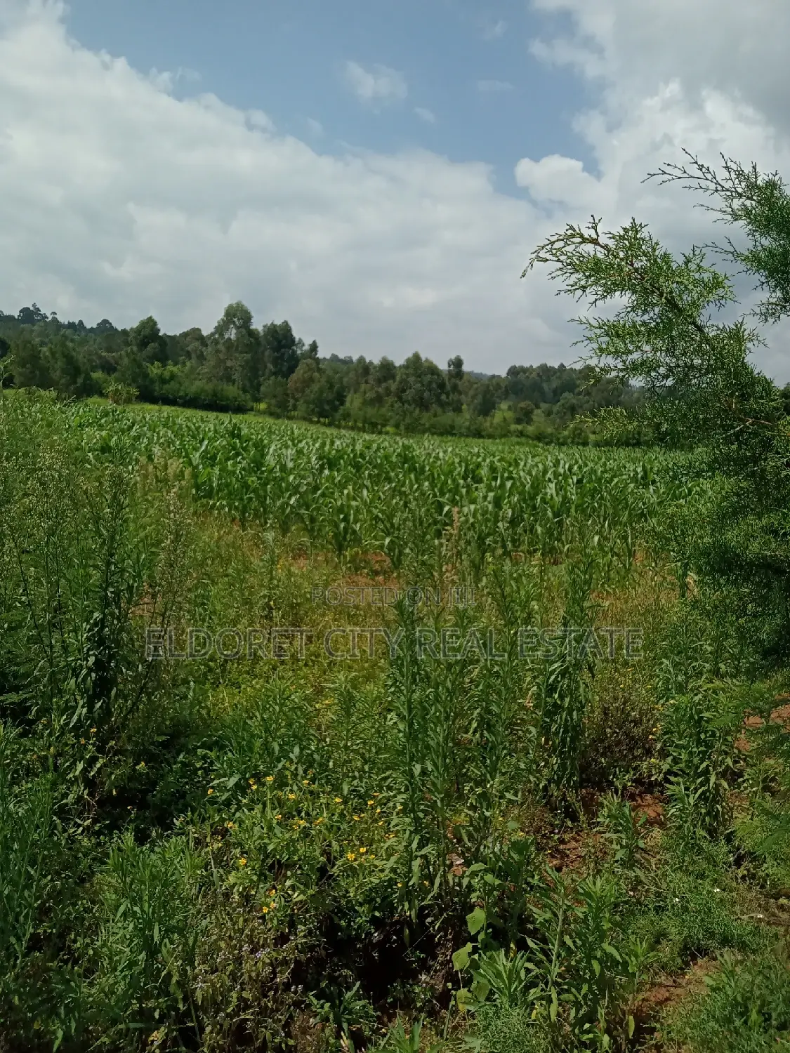 10 Acres Naiberi Touching Permanent Flowing River