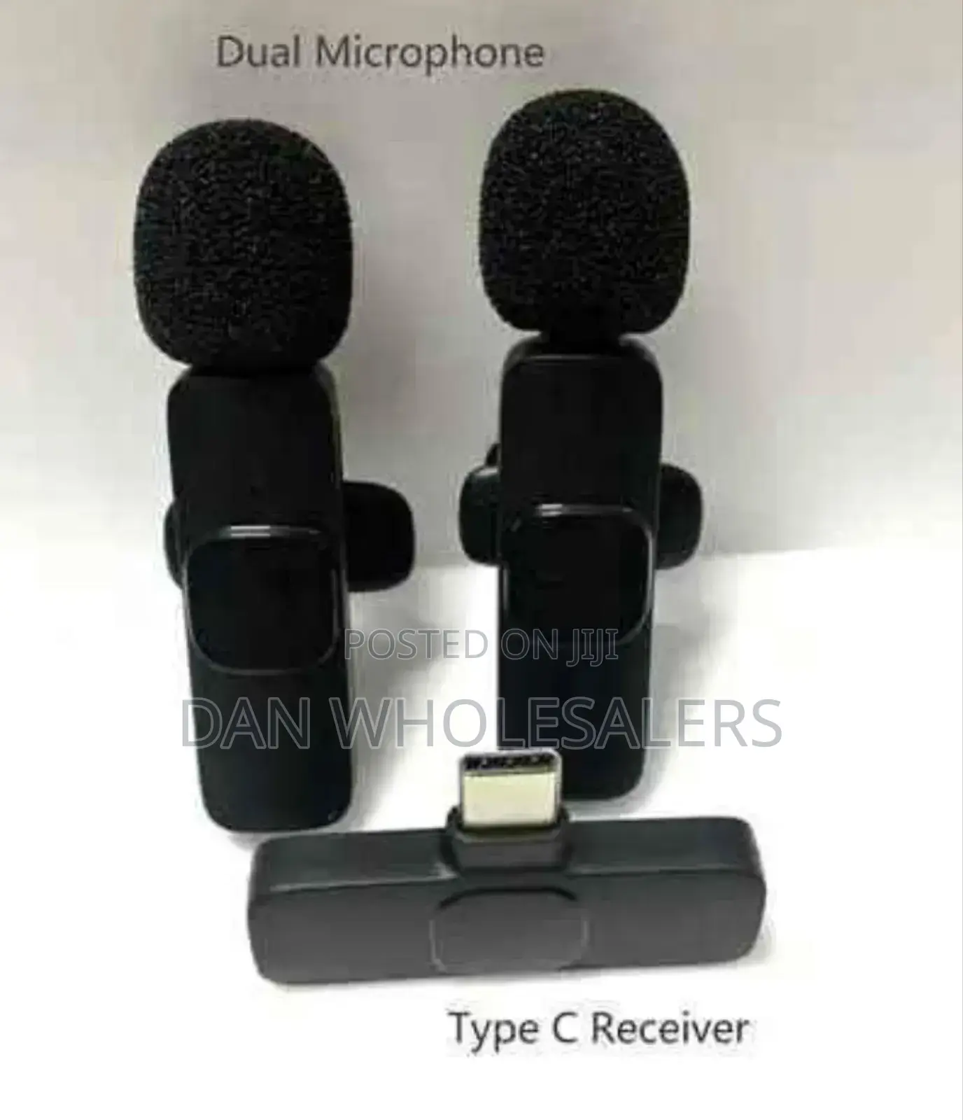 2 in 1 Wireless Microphone