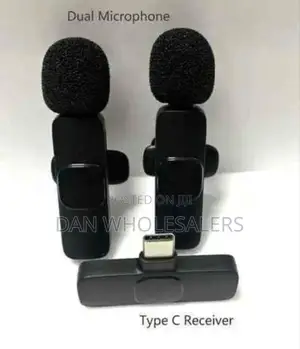2 in 1 Wireless Microphone