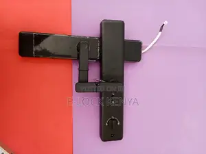 Passcode Integration Mastery.Wifi Biometric Door Lock