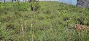 Plot For Sale In Elgonview KUSCO Plots Eldoret - thumbnail 2