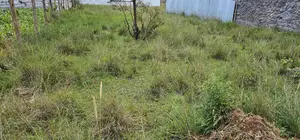 Plot For Sale In Elgonview KUSCO Plots Eldoret