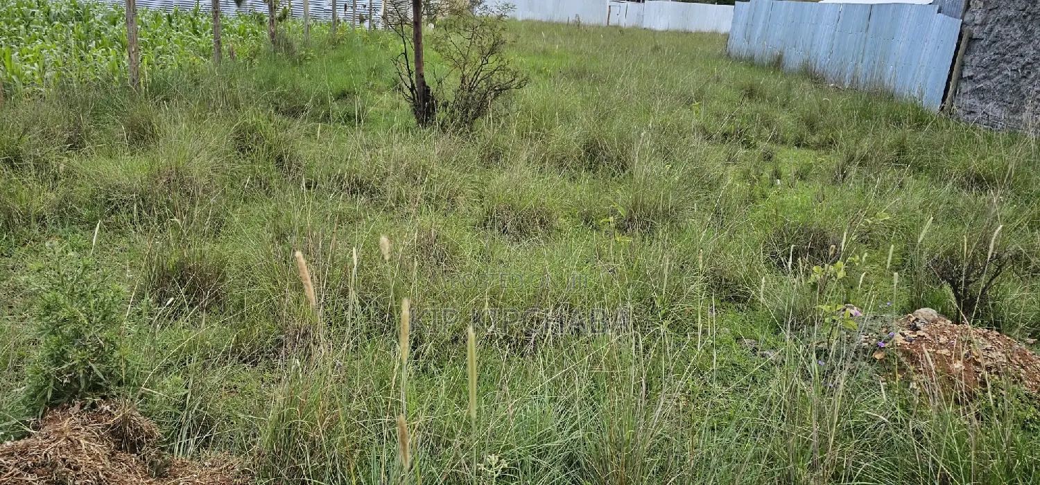 Plot For Sale In Elgonview KUSCO Plots Eldoret