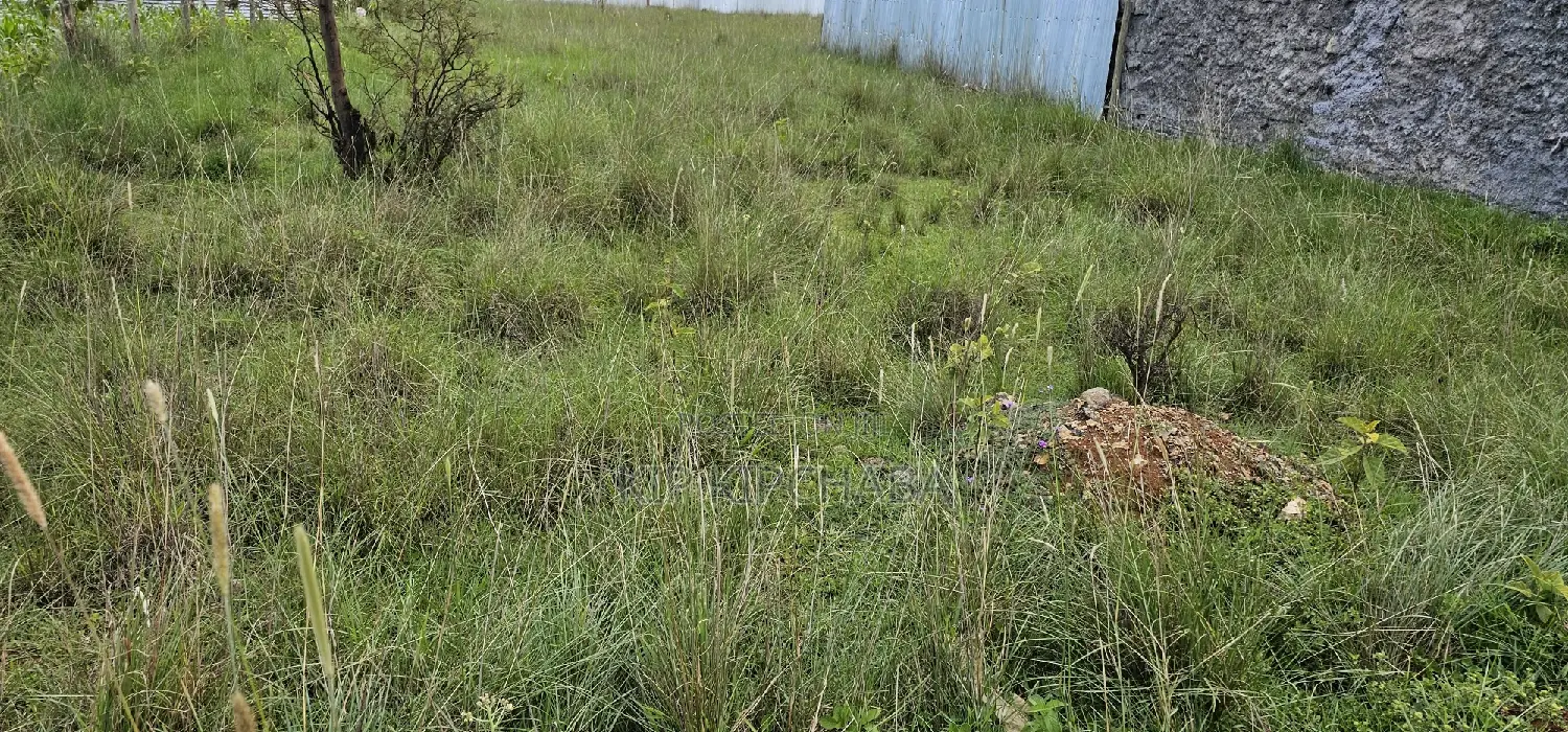 Plot For Sale In Elgonview KUSCO Plots Eldoret