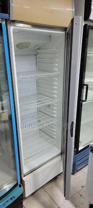 Display Fridge 450L Chiller - main view