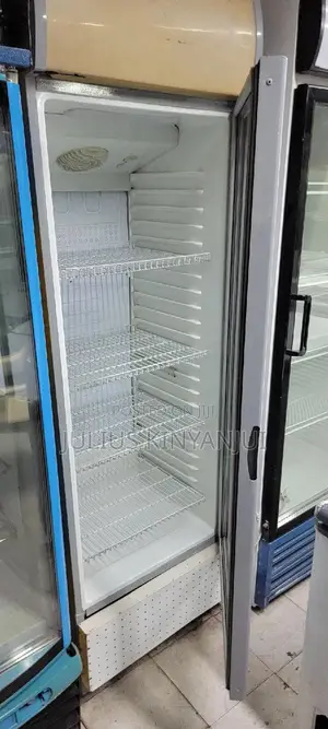 Display Fridge 450L Chiller