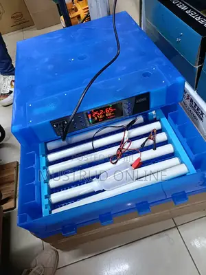 64 Eggs Incubators