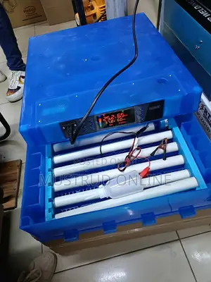 AC/DC Powered 64 Eggs