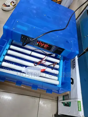 Fully Automatic Eggs Incubators