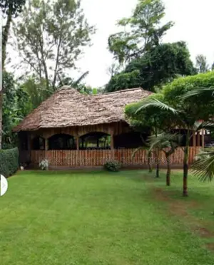 Thatch With Us of Makuti Roofing