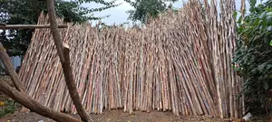 We Sell Sisal Poles and General Supply