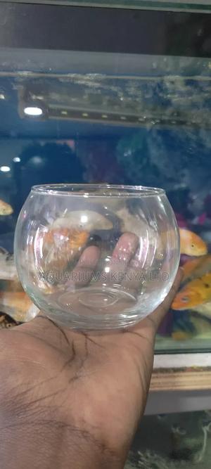 1⁄2 a Litre Fish Bowl. - thumbnail 2