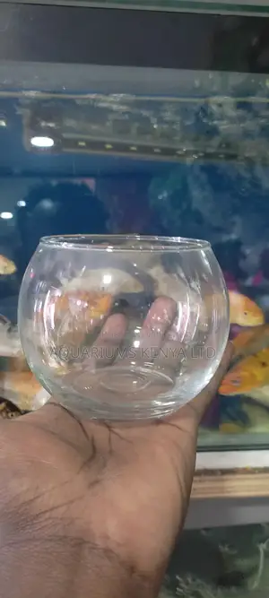 1⁄2 a Litre Fish Bowl.