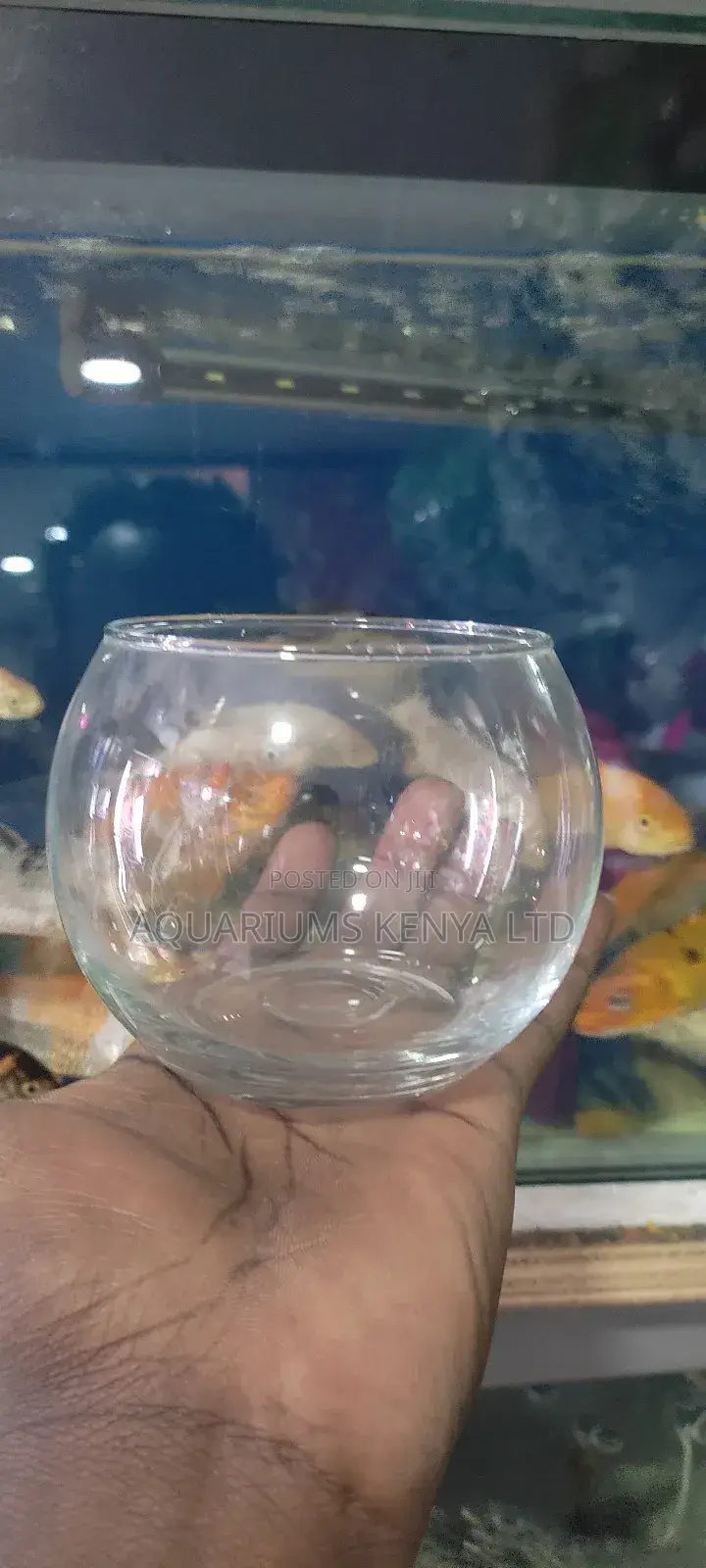 1⁄2 a Litre Fish Bowl.