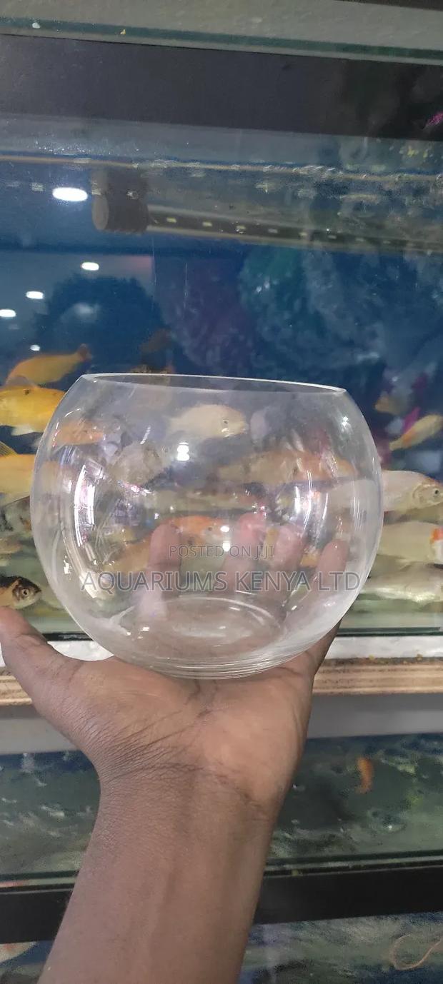 Double (2) Fish , Fish Bowl - main view