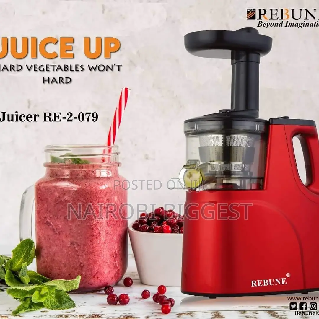 Rebune Slow Juicer Re-2-079