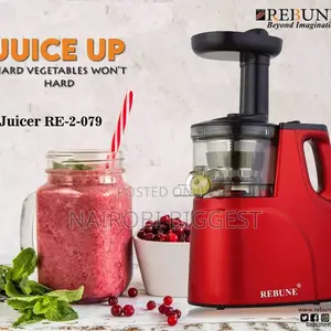 Rebune Slow Juicer Re-2-079