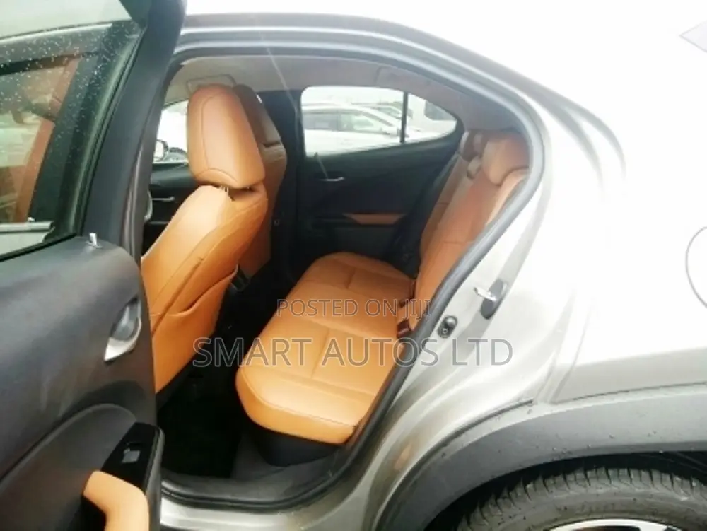 Lexus UX 250h 4WD 2019 Silver