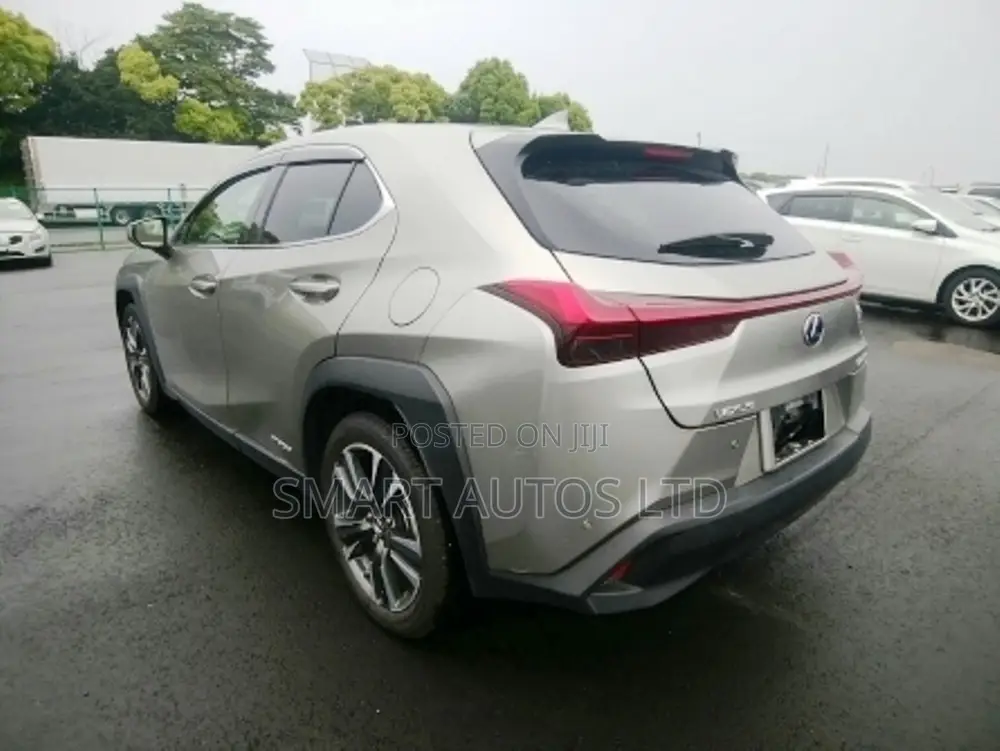 Lexus UX 250h 4WD 2019 Silver