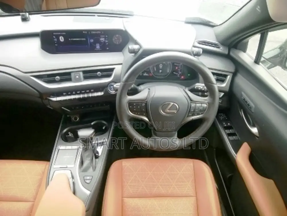 Lexus UX 250h 4WD 2019 Silver