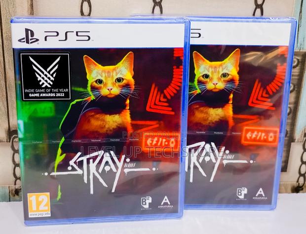 Stray Ps 5 New Game - main view