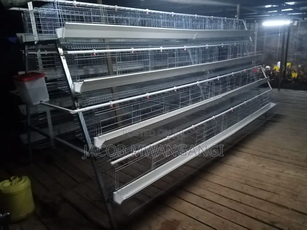 Chicken Cage