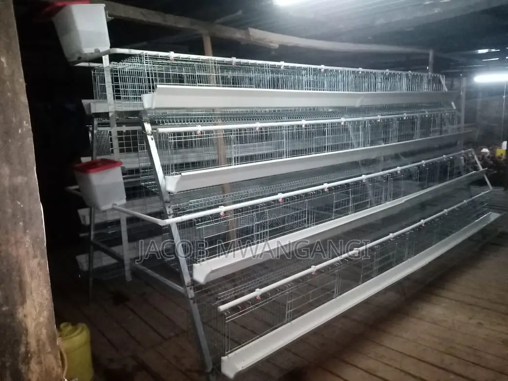 Chicken Cage