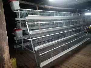 Chicken Cage