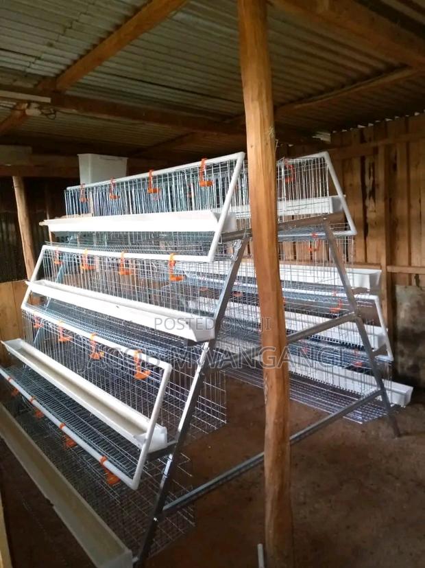 Chicken Cage - thumbnail 3